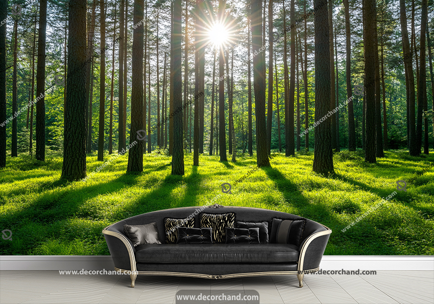 پوستر دیواری سه بعدی جنگل درختان سبز و بلند